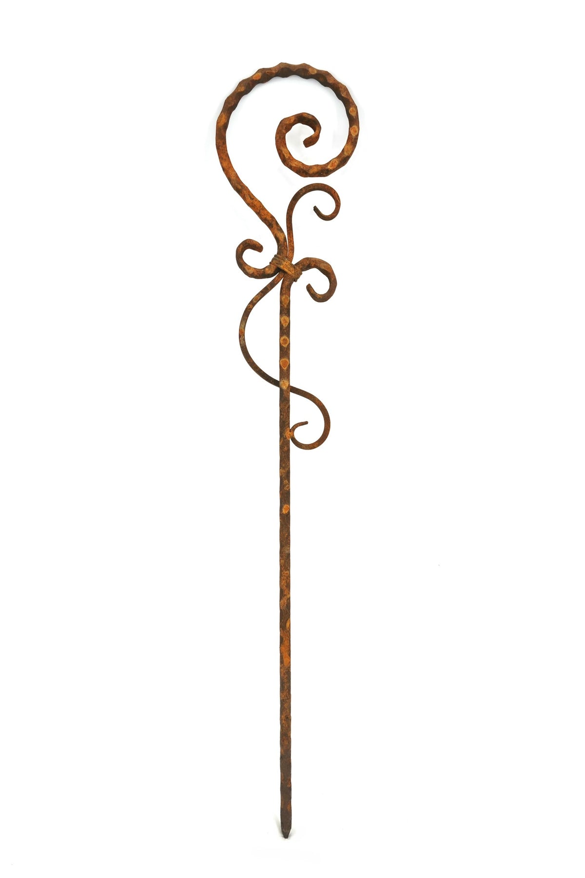 Eleganzia