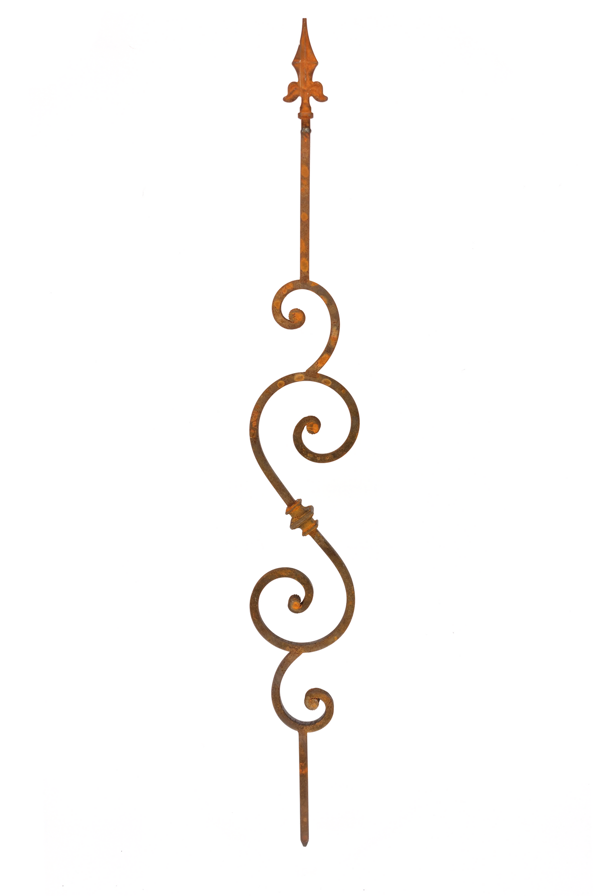 Spiralis