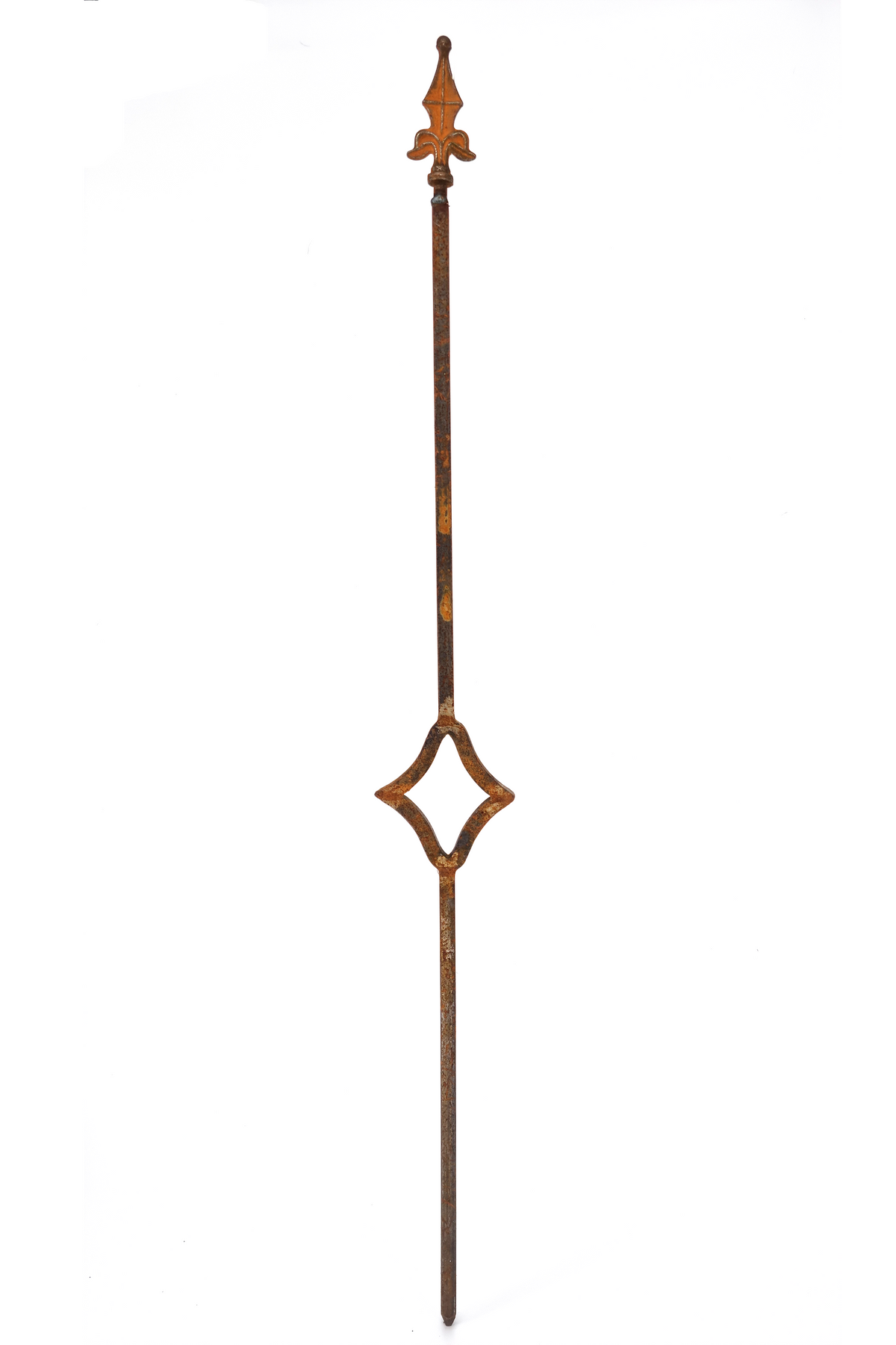 Rautus
