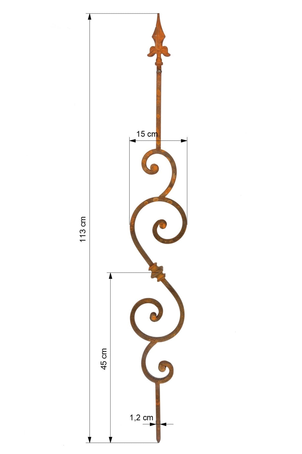 Spiralis