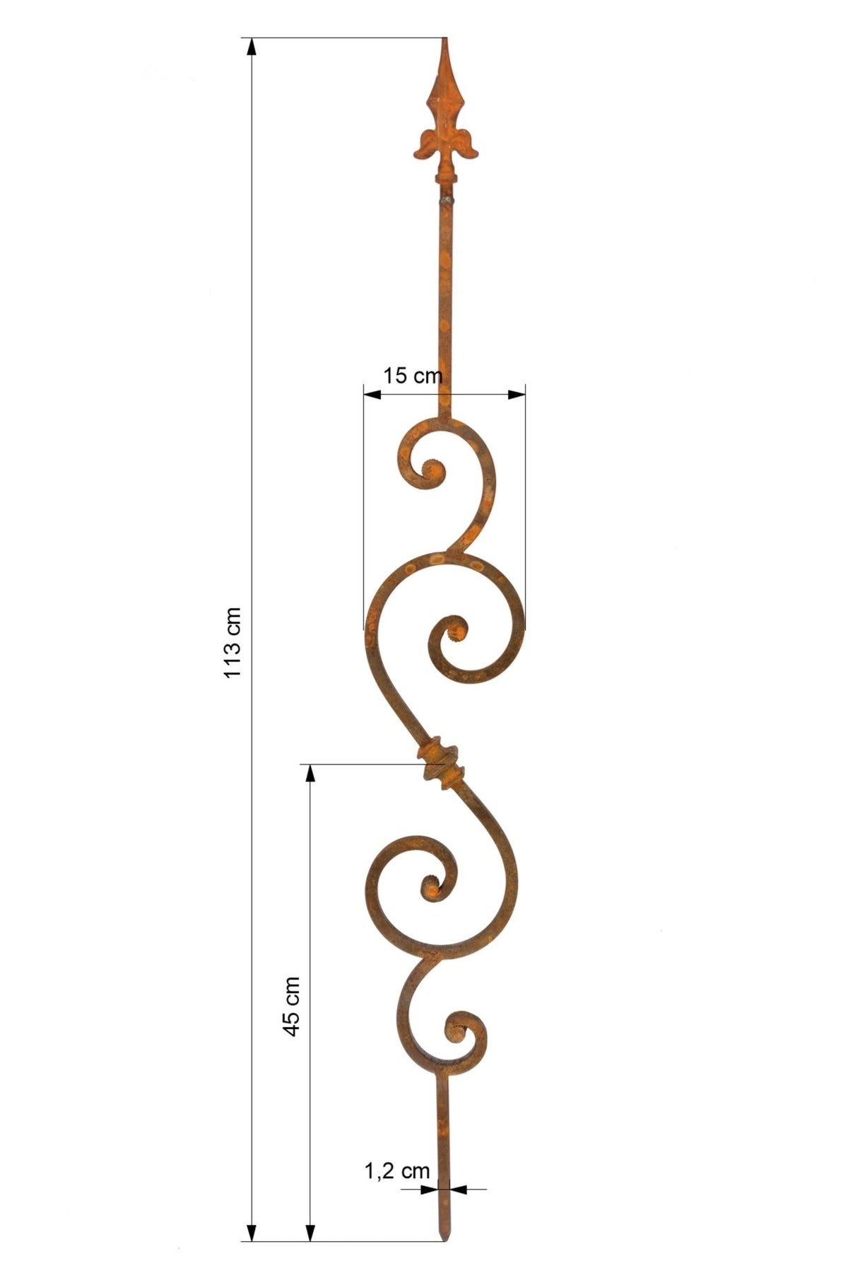 Spiralis
