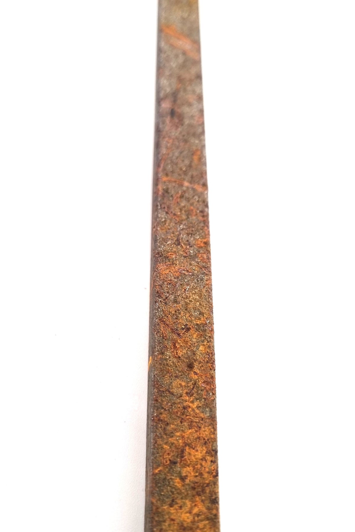 Rautus