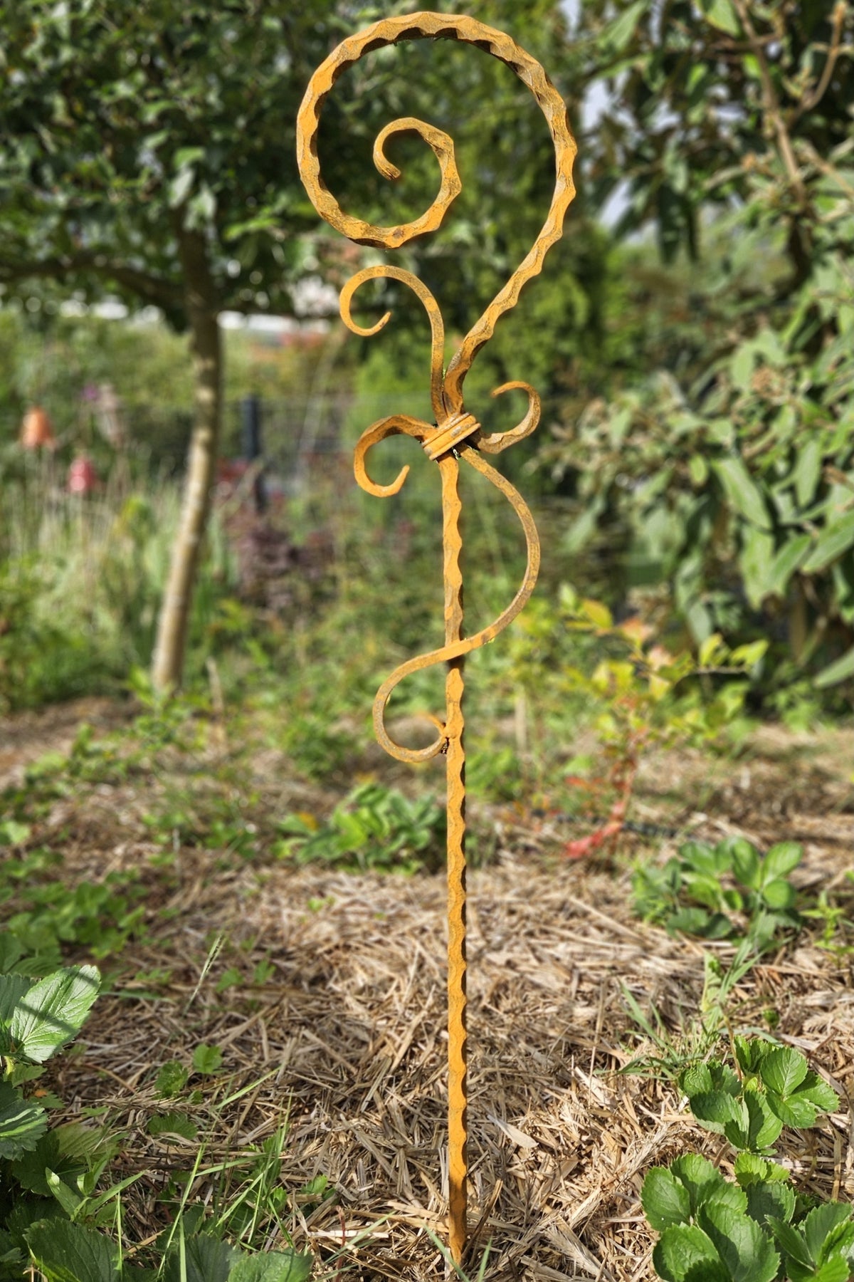 Eleganzia